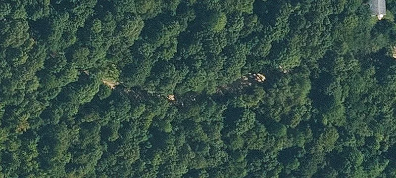 Wooded Hunting Tract with Utilities