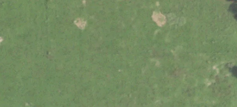 Agricultural Land Parcel