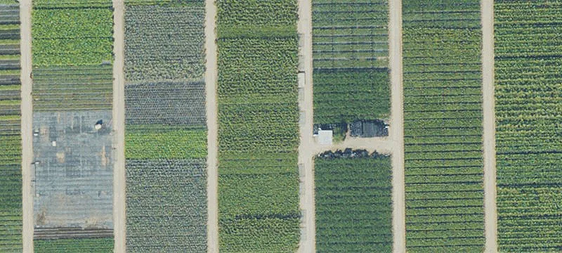 Agricultural Land Parcel
