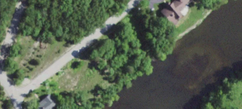 Wooded Waterfront Land Parcel