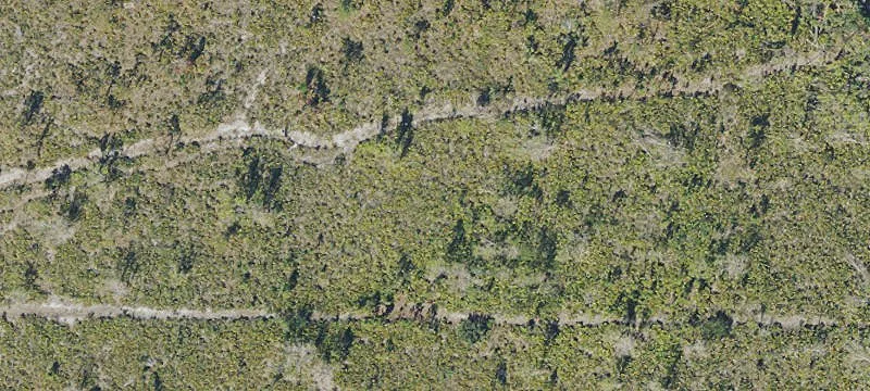 Specialty Land Parcel