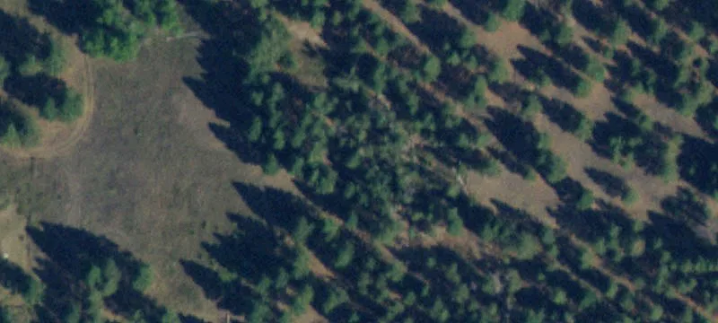 Gently Sloping Acreage with Views