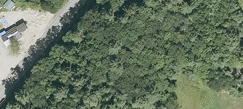 Zoned Residential Wooded Lot