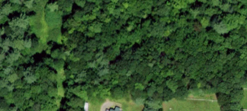 Wooded Residential Home Lot