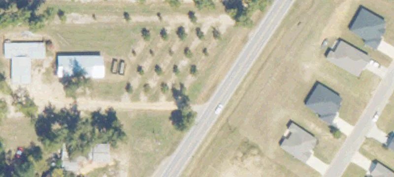 Pecan Orchard with Irrigation System
