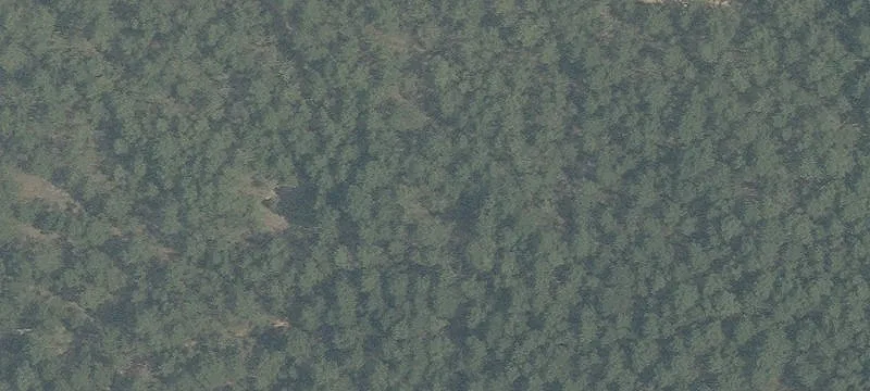 Commercial Land Tract