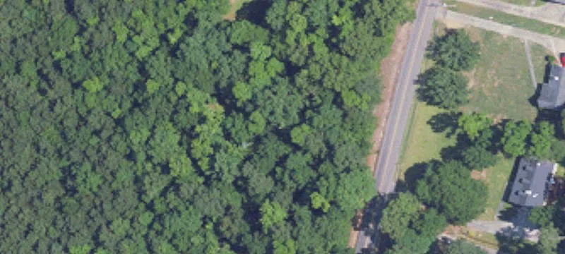 Partially Cleared Residential Lot