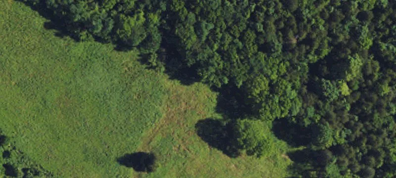 Gently Rolling Multifunction Land