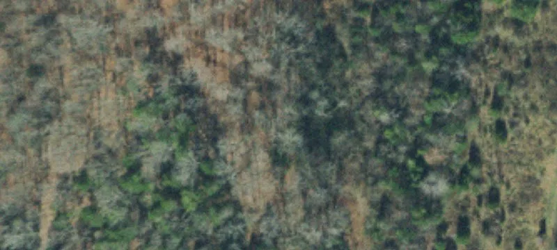 Secluded Agricultural Tract for Sale