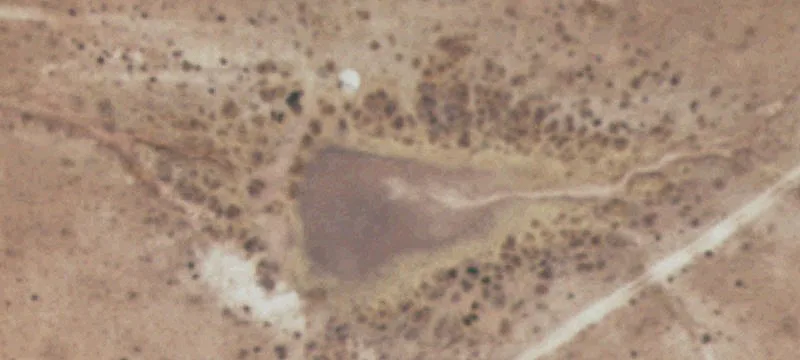 Open Pasture Land Tract