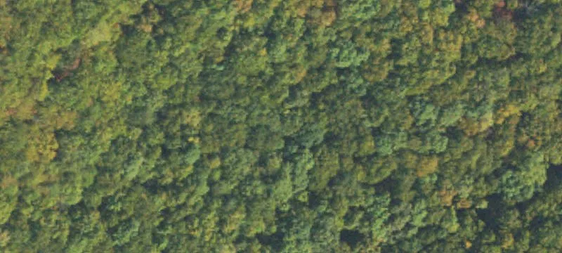 Buildable Residential Land Lot
