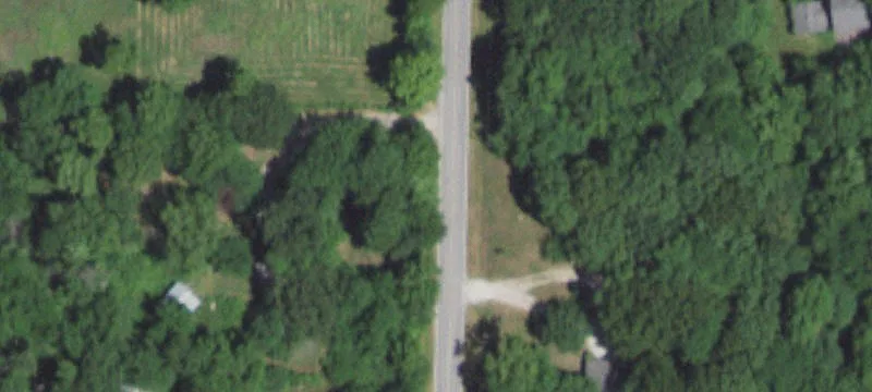 Fenced Farmland with Timber