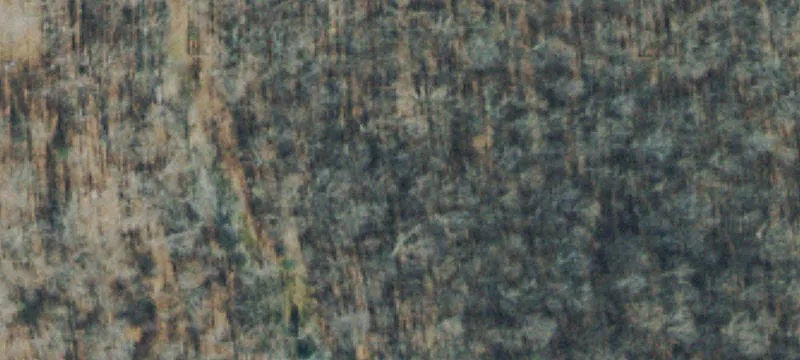Wooded Cul-de-Sac Home Site
