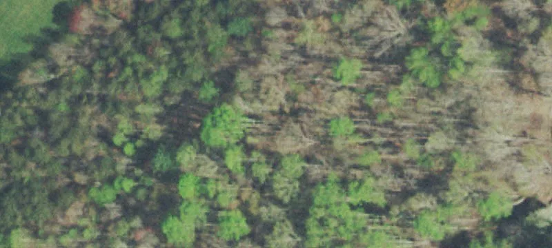 Waterfront Building Lot with Creek