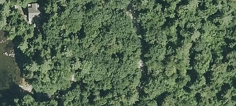 Wooded Recreational Land Parcel