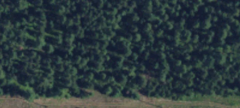 Treed Recreational Land Parcel