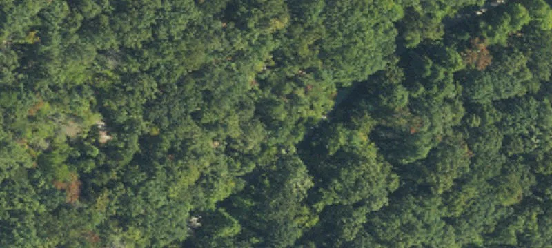Wilderness View Land Lot