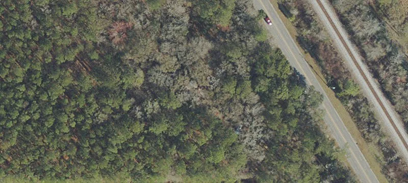 Partially Cleared Residential Lot