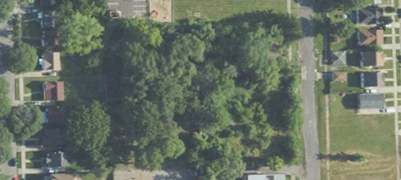 Land