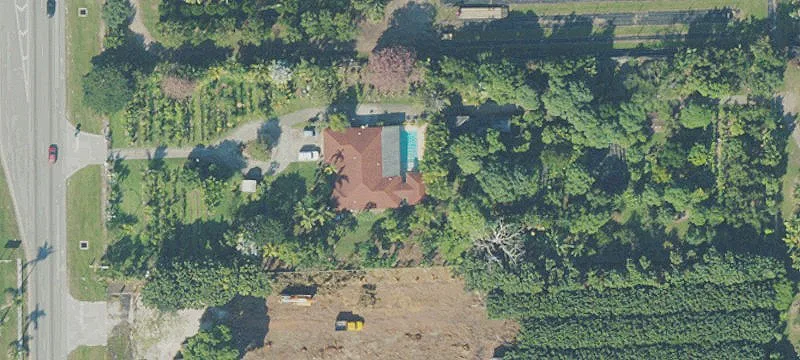 Agricultural Land with Longan Grove
