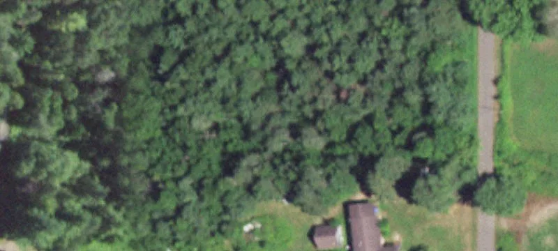 Wooded Hunting Land Parcel