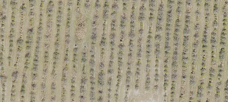 Cleared A-1 Zoned Land Parcel