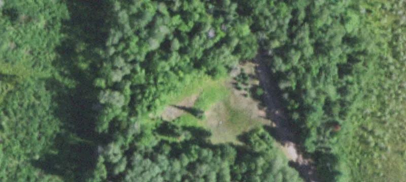Wooded Hunting Land with Storage