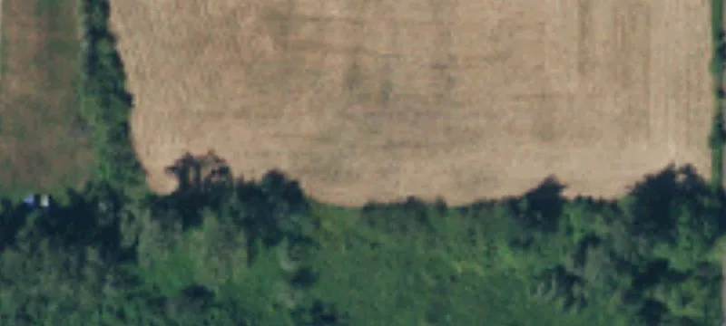 Open-Field Farmland Parcel