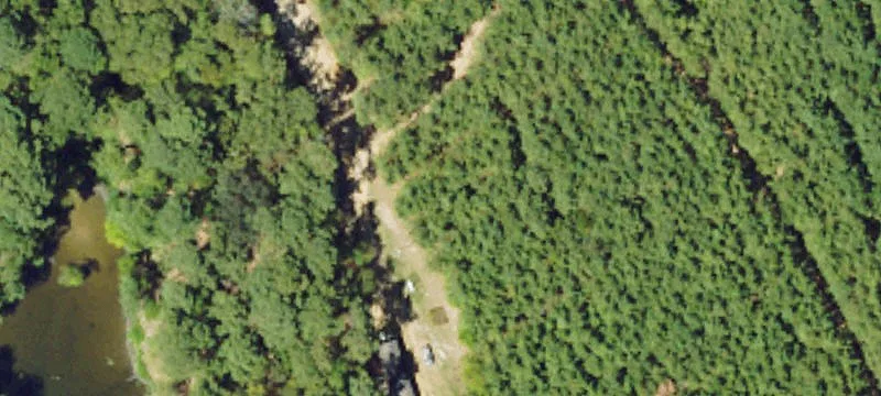 Recreational Hunting Tract with Cabin