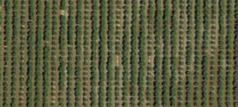 Fresno County Agricultural Land