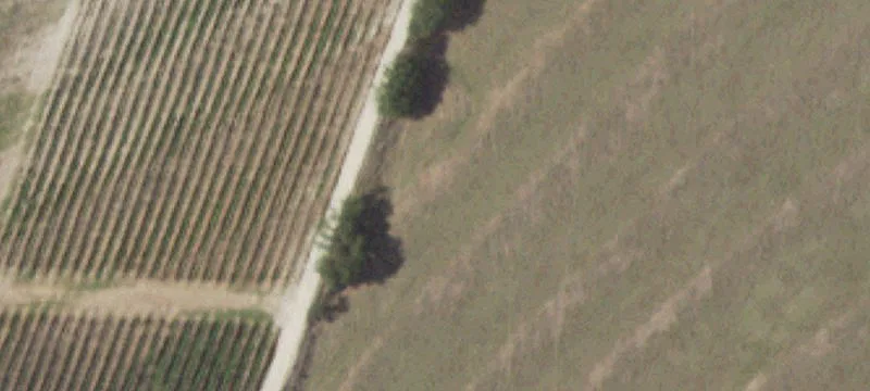 Winery Property with Tasting Room