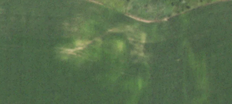 Agricultural and Hunting Land