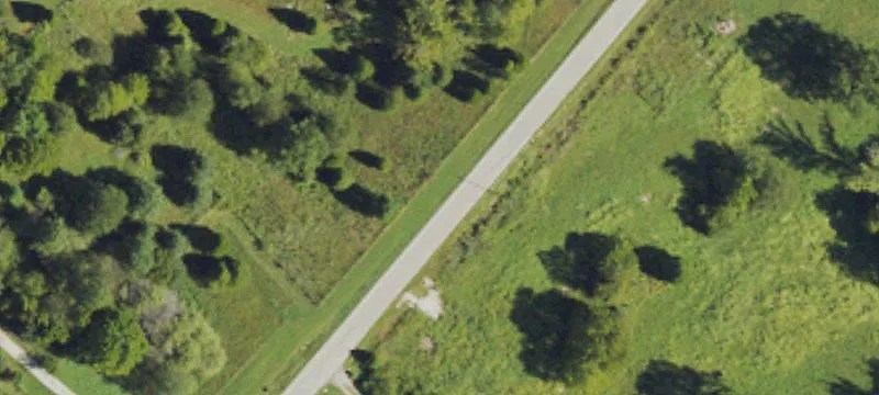 Wooded Hunting Land Tract