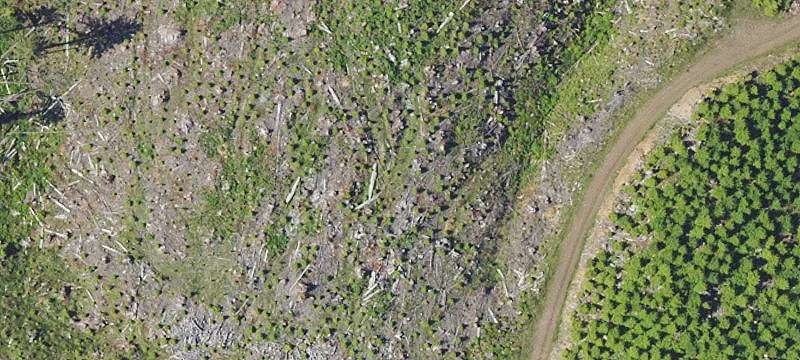 Residential Land Lot