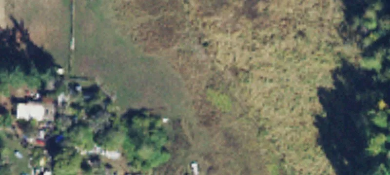 Cleared and Fenced Pasture Land