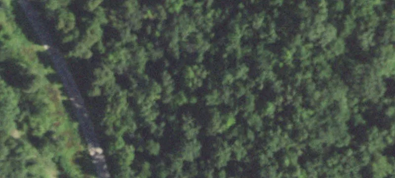 Wooded Hunting and Recreation Land