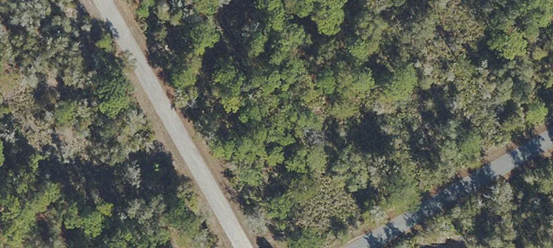 Wooded Corner Residential Lot