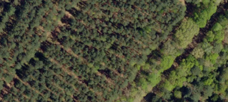 Recreation and Home-Building Land