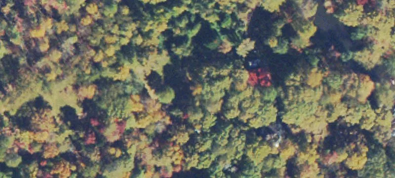 Forested Waterfront Recreation Land