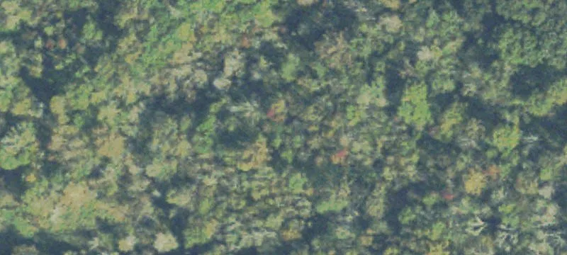 Flat Buildable Land with Road Access