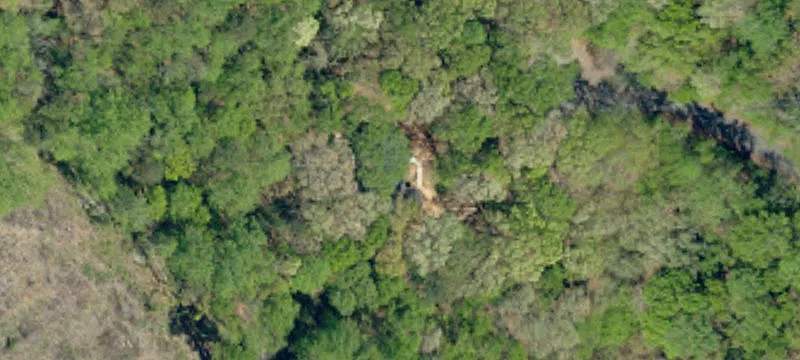 Wooded Cul-De-Sac Home Lot