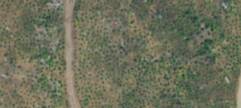 Build-Ready Rural Residential Lot
