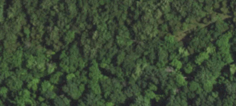Wooded Residential Build Site