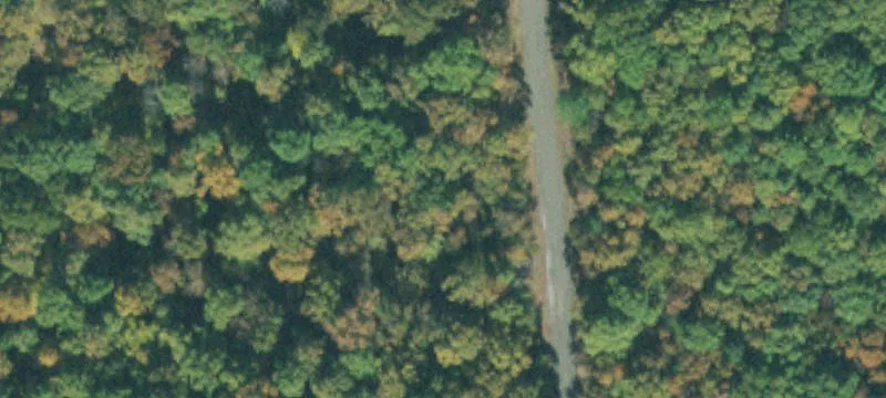 Wooded Land Parcel