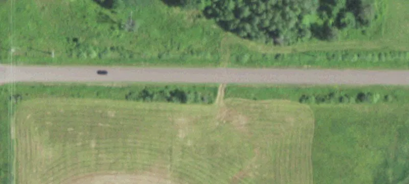 Residential Home Lot with Trees