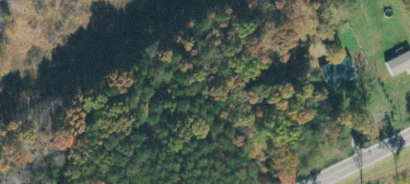 Hunting Land with Road Frontage