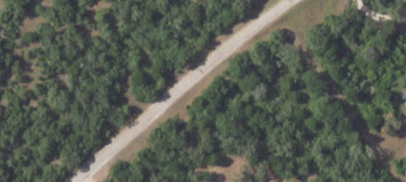 Wooded Home Site Acreage