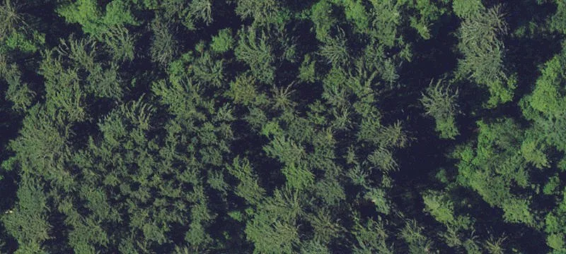 Coastal Acreage Development Land