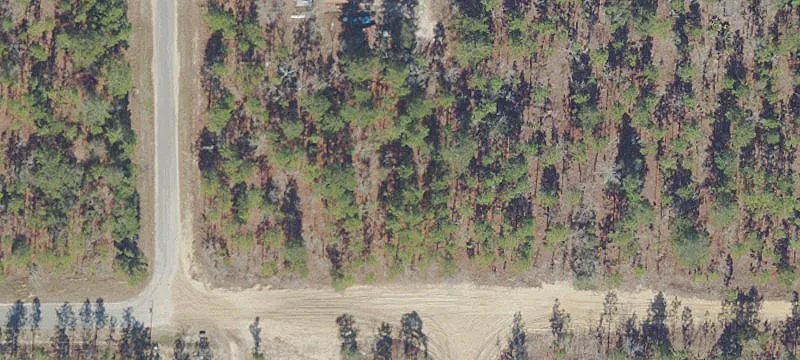 Uncleared Residential Home Site