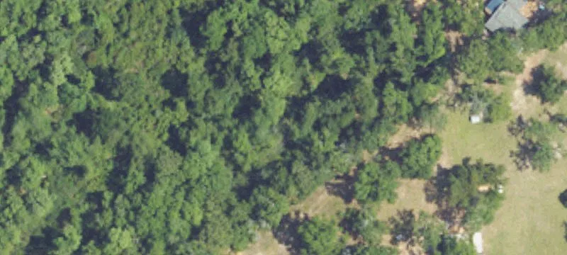 Residential Land with Mature Oaks
